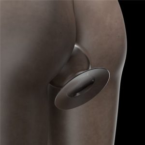 Flawless Clear Anal Plug 4.5in