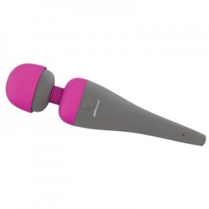 Palm Power Massager - see also an amazing collection of rechargeble sex toys including the award winning swan vibrator.